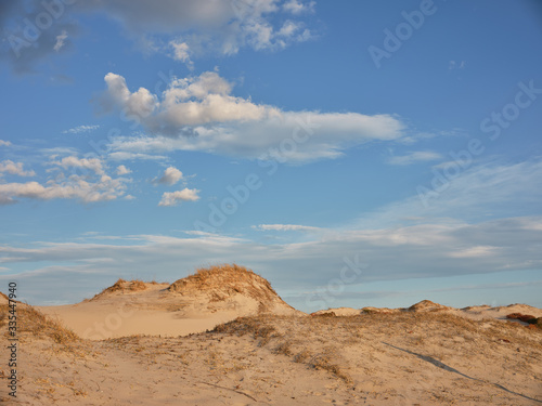 Horizontal image of New Jersey s Island Beach State Park and the Protected and endangered sand dunes in late afternoon light on an empty beach