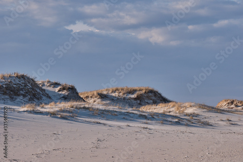 Horizontal image of New Jersey's Island Beach State Park and the Protected and endangered sand dunes in late afternoon light on an empty beach