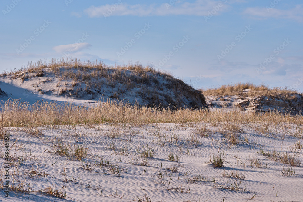 Horizontal image of New Jersey's Island Beach State Park and the Protected and endangered sand dunes in late afternoon light on an empty beach Horizontal image of New Jersey's Island Beach State Park and the Protected and endangered sand dunes in late afternoon light on an empty beach