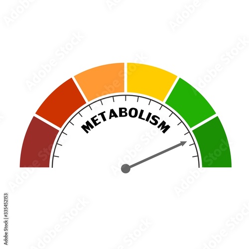 Metabolism level scale with arrow. The measuring device icon. Sign tachometer, speedometer, indicators. Infographic gauge element. photo