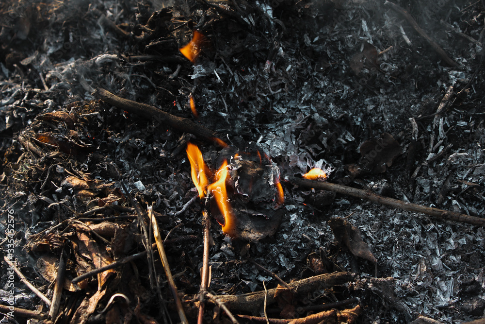 fire, flame and smoke of a fire, bonfire on earth fire, flame and smoke of a fire, bonfire on earth