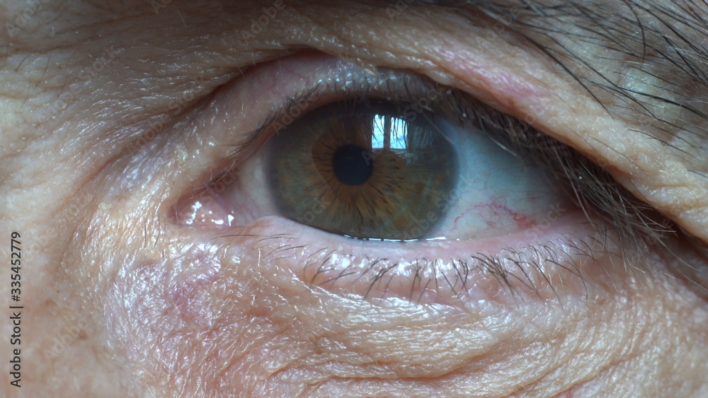 Fototapeta premium Closeup old man eye