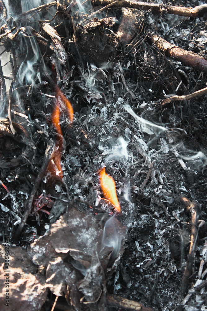 fire, flame and smoke of a fire, bonfire on earth fire, flame and smoke of a fire, bonfire on earth