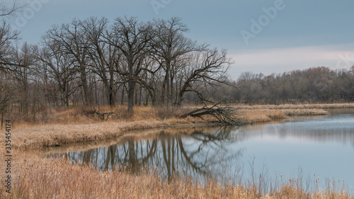 Ned Brown Preserve (Busse Woods) in April