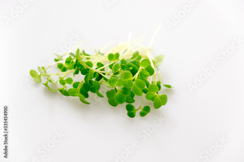 Broccoli microgreens sprouts isolated on white background photo