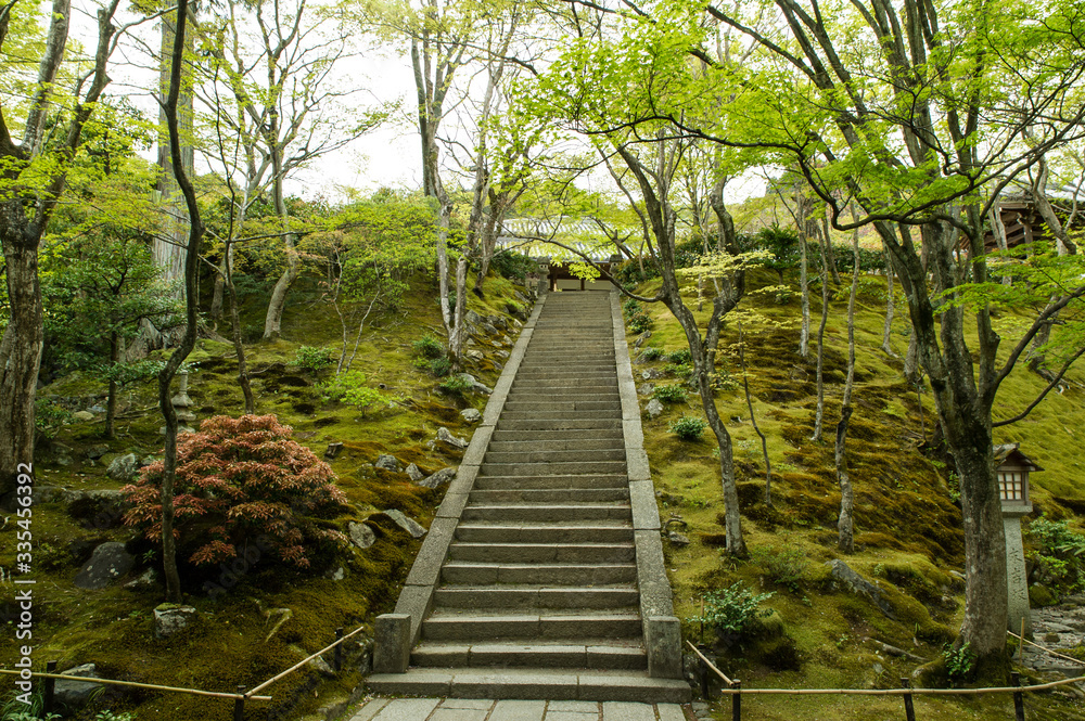 Obraz premium 京都 階段