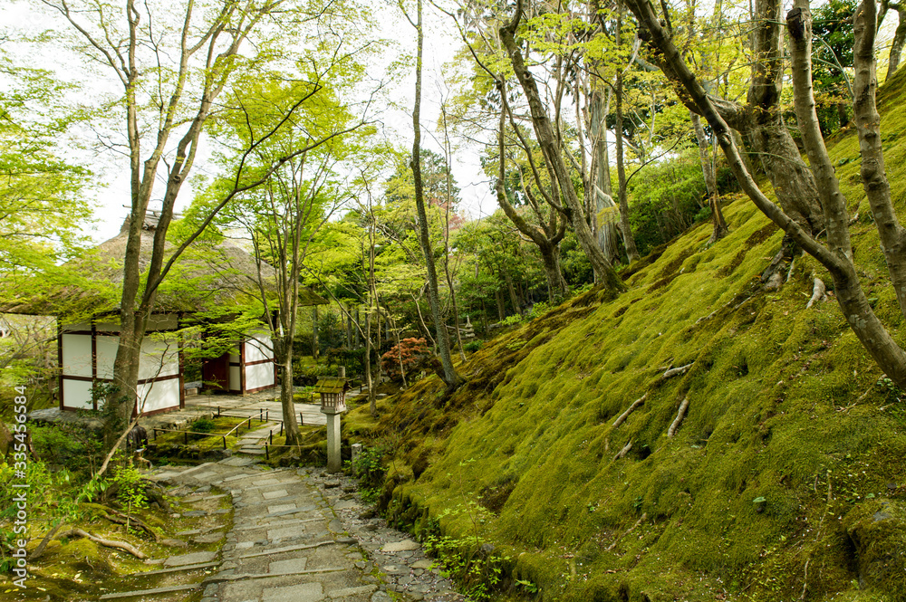 京都　常寂光寺