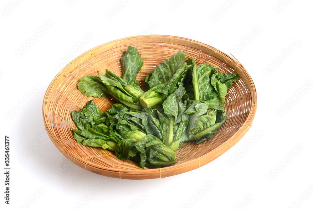The Brussels sprout is a member of the Gemmifera Group of cabbages The Brussels sprout is a member of the Gemmifera Group of cabbages