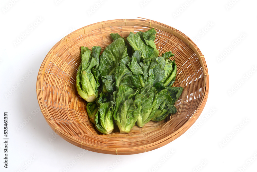 The Brussels sprout is a member of the Gemmifera Group of cabbages The Brussels sprout is a member of the Gemmifera Group of cabbages