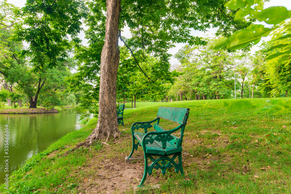Park bench in public tree park