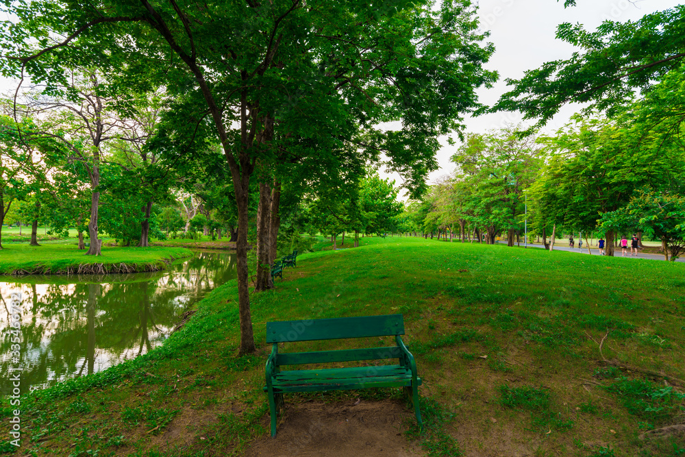 Park bench in public tree park