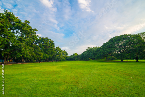 Green public park with meadow field and blue sky cloud