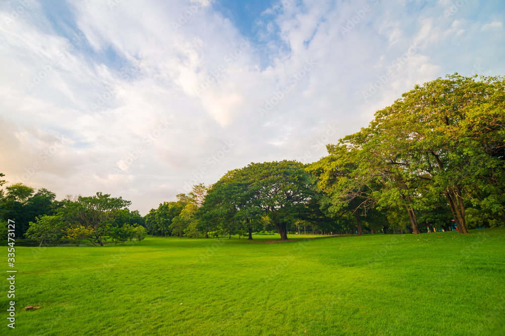 Green public park with meadow field and blue sky cloud Green public park with meadow field and blue sky cloud