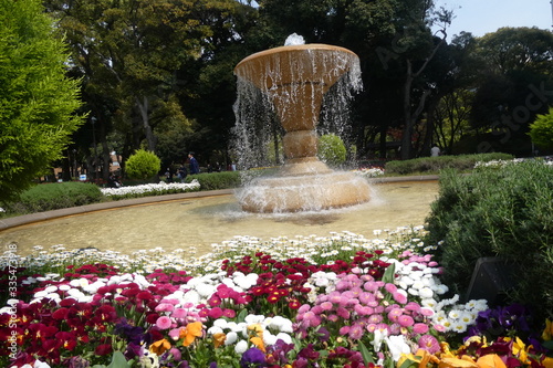 Flower Fountain 
