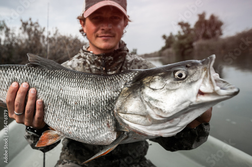 Angler sits in the boat and holds the trophy Asp fish