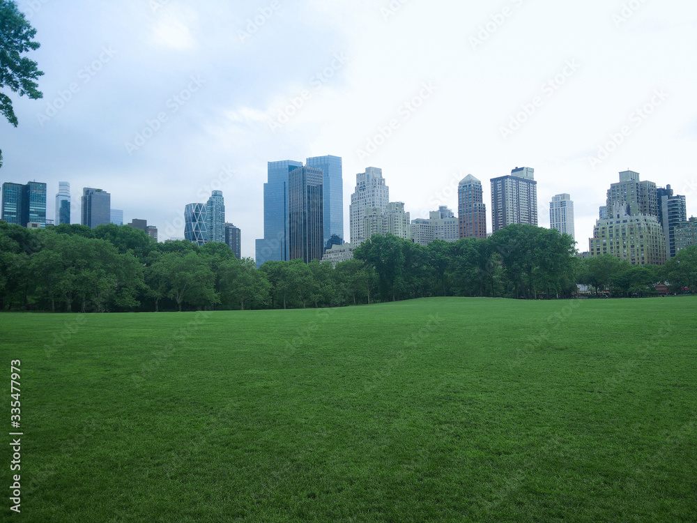 Central park in New York city without people. Clean and empty lawn during the day in a Manhattan park. Skyscrapers jut out from behind the trees.