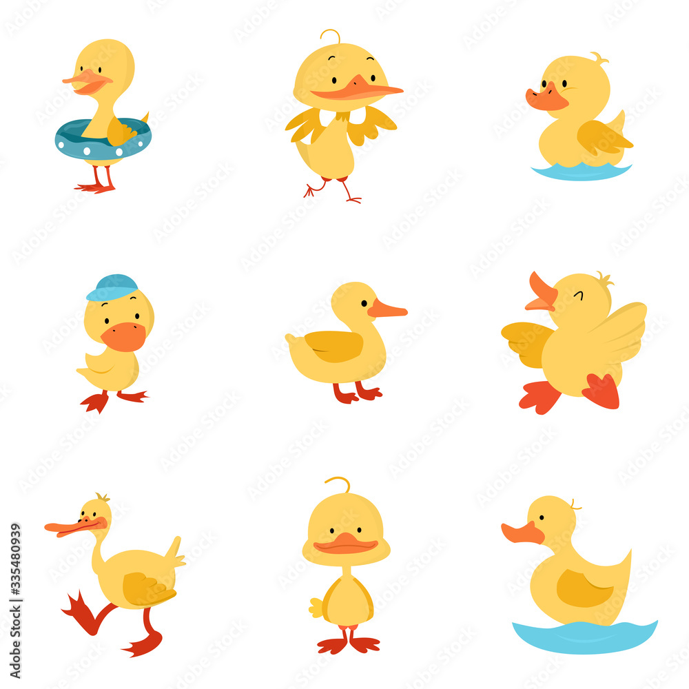 set of funny cartoon animals set of funny cartoon animals