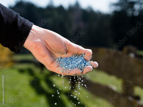gardener giving granulated fertilizer to plants photo