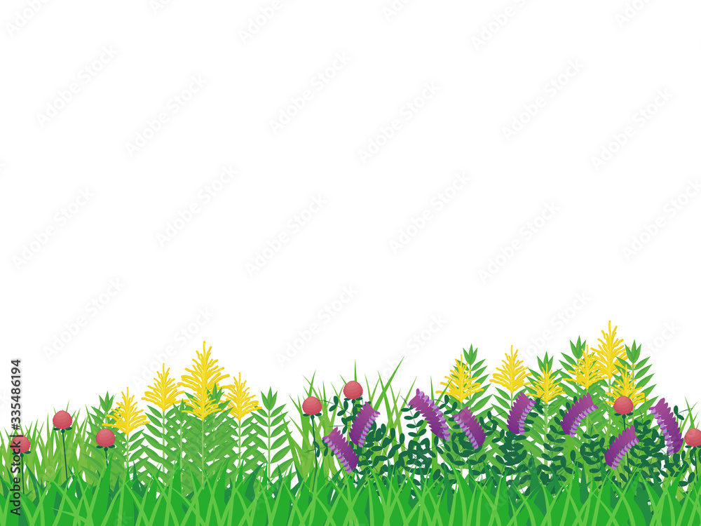 Obraz premium 雑草の背景_セイタカアワダチソウ_ナヨクサフジ_アカツメクサ_白