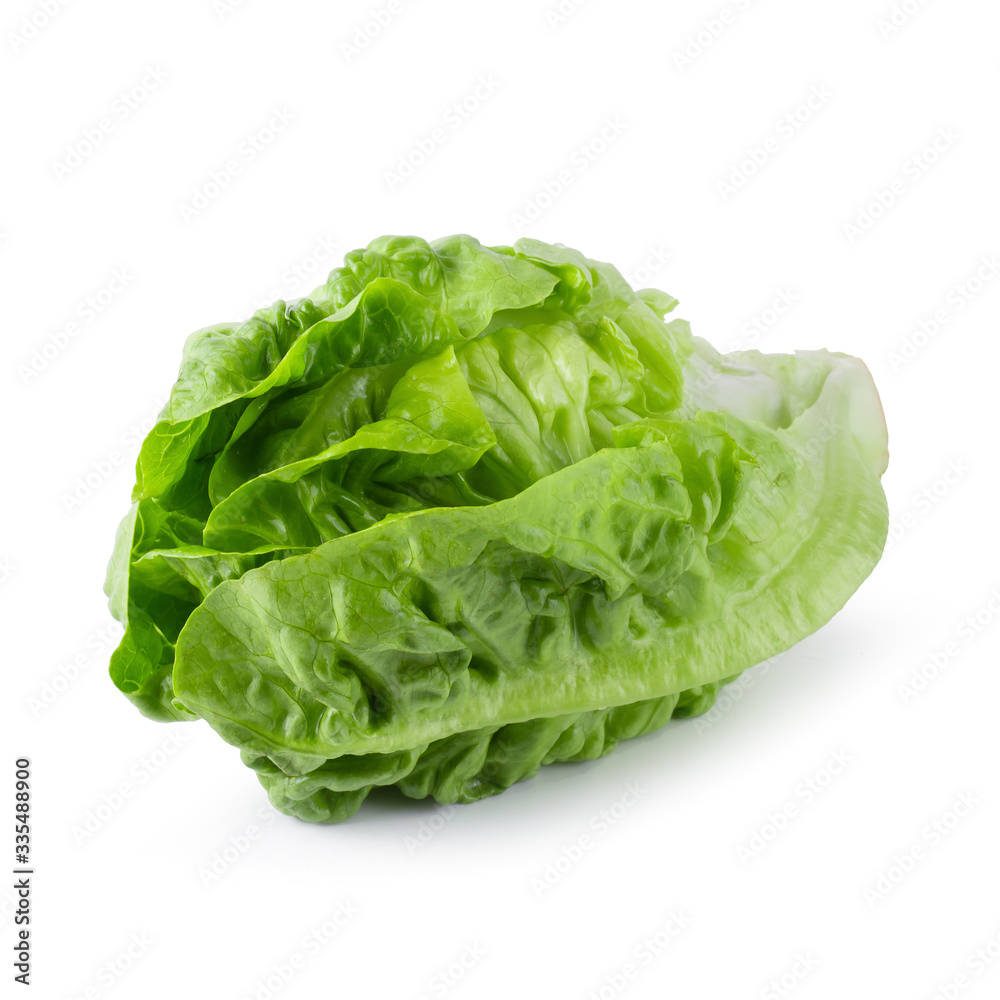 fresh baby Cos Lettuce Isolated over the White Background. fresh baby Cos Lettuce Isolated over the White Background.