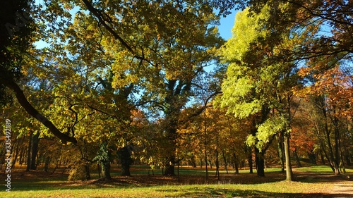 Barwy jesieni w parku w Strzelcach Opolskich Polska
