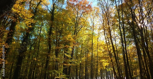 Barwy jesieni w parku w Strzelcach Opolskich Polska