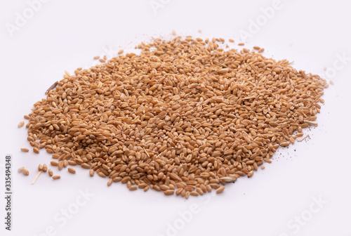 Wheat grains on white background