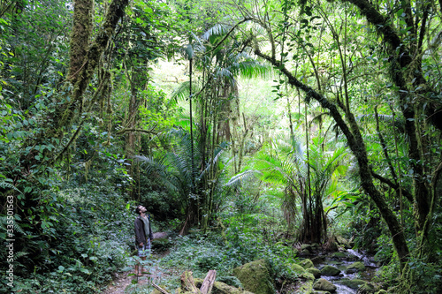 Typical cloud forest San Gerardo de Dota, Costa Rica, Central America photo