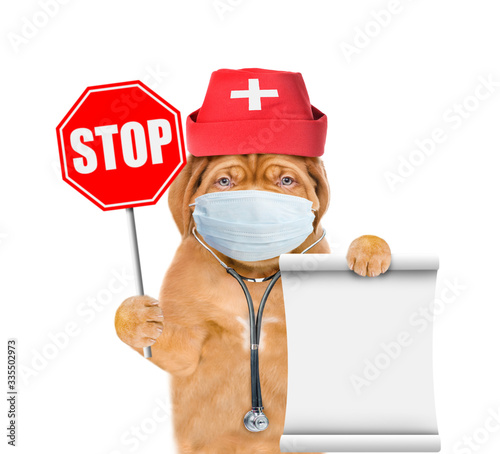 Puppy wearing like a doctor with medical mask and stethoscope shows stop sign and holds empty list. Isolated on white background © Ermolaev Alexandr