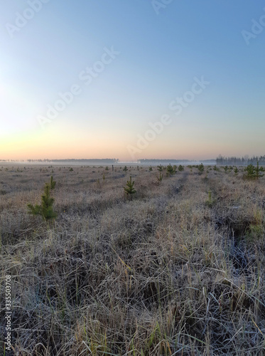 Nature with frost on the grass and trees