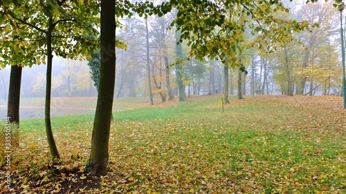 Park strzelecki w jesienne mgle polska photo