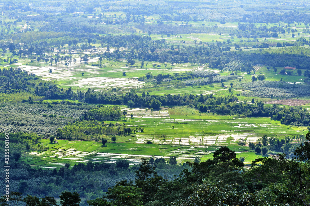 Landscape nature  trees  mountain  Phu Lanka in Nakhon Phanom Thailand
