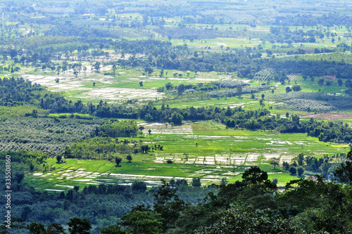 Landscape nature trees mountain Phu Lanka in Nakhon Phanom Thailand