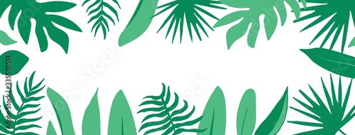 Vector tropic green background with leaves isolated on white background with place for text. Illustration banner for web design.