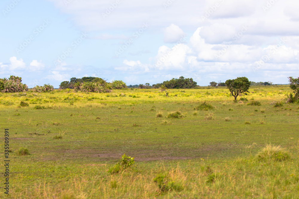 African landscape with blue sky and clouds in Kruger National Park, South Africa

