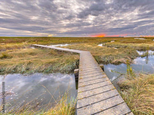 Boardwalk in Tidal Marshland nature reserve Saeftinghe