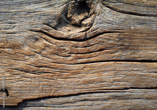wood texture. background old panels, Abstract background, empty template, closeup