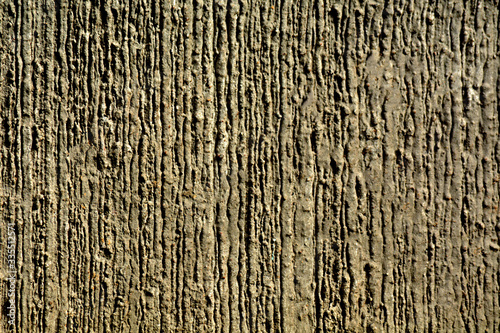 cement texture background. wall texture