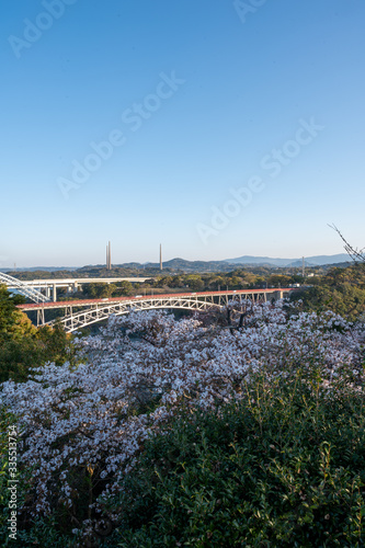 朝の西海橋と桜