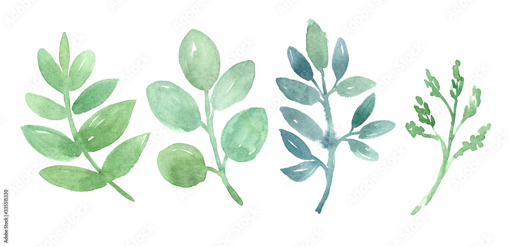 Watercolor set of herbal branch. Hand drawn illustration isolated on white background. Green botanical collection.