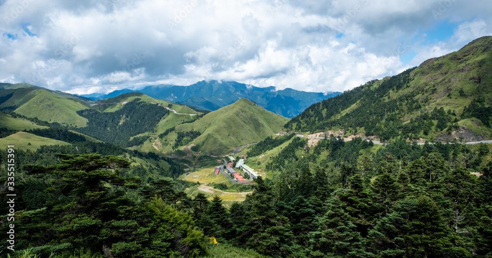 Taiwan forest area at Hehuanshan mountain 