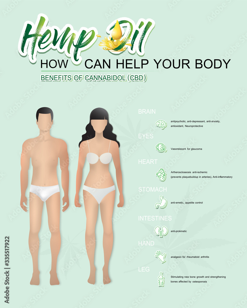 how hemp oil can help your body benefits of  cannabis cbd oil is infographic poster