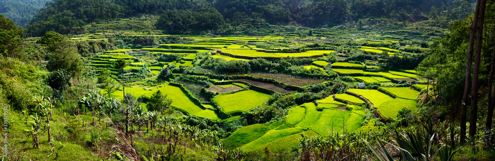 rice field terraces in the area of banaue,in Philippines rice field terraces in the area of banaue,in Philippines