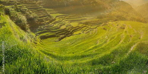 Φωτογραφία sunset in the rice field terraces in the area of banaue,in Philippines