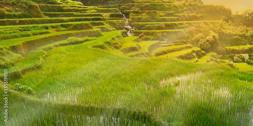 sunset in the rice field terraces in the area of banaue,in Philippines 