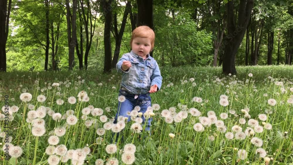 Stock video

The little baby girl pulls a dandelion and playing in the field with dandelions on nature in the grass. Outdoors. Portrait. 4k.