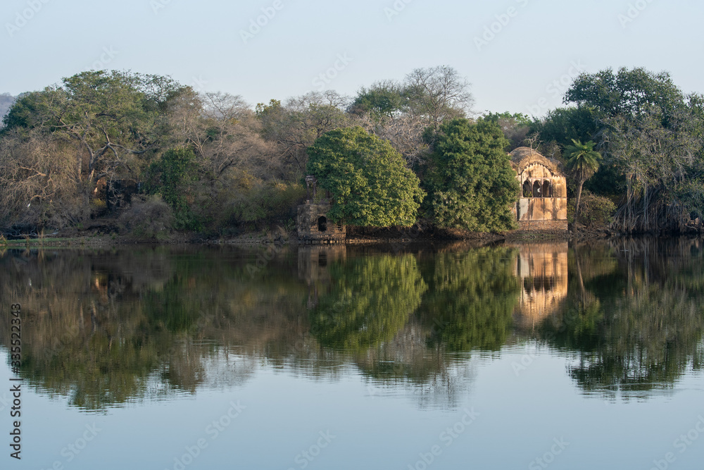 ranthambore landscape and scenery of hunting palace with reflection in calm water of rajbagh lake at ranhambore national park and tiger reserve, sawai modhopur, india