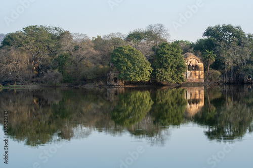 ranthambore landscape and scenery of hunting palace with reflection in calm water of rajbagh lake at ranhambore national park and tiger reserve, sawai modhopur, india