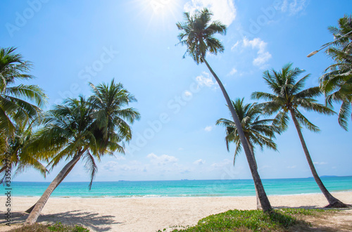 Fototapeta Naklejka Na Ścianę i Meble -  Many coconut palms on the beach  Background sea and sky at Cabana Beach , Chumphon , Thailand.