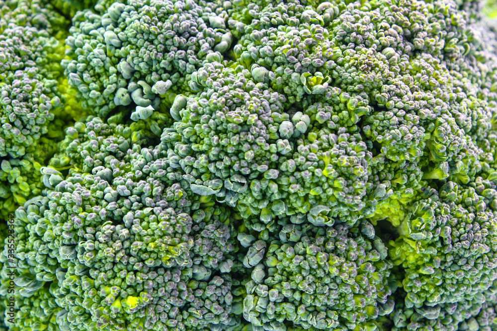 close up of broccoli close up of broccoli